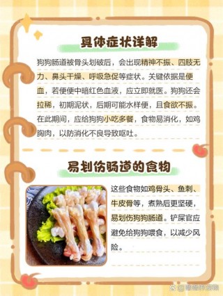 狗狗划伤肠道的表现，狗划伤肠道会一直出血吗？