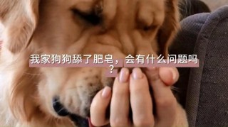 狗狗吃了肥皂怎么办，（狗狗吃了点肥皂）