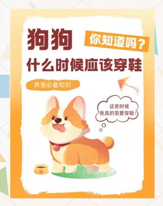 狗狗穿鞋子好不好，（狗狗穿鞋好嘛）