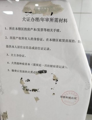 狗狗上户口多少钱？狗狗上户口要多少钱（最新）