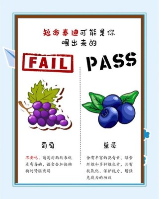 泰迪狗狗能吃鱼吗？泰迪狗可以吃鱼肉吗（最新）