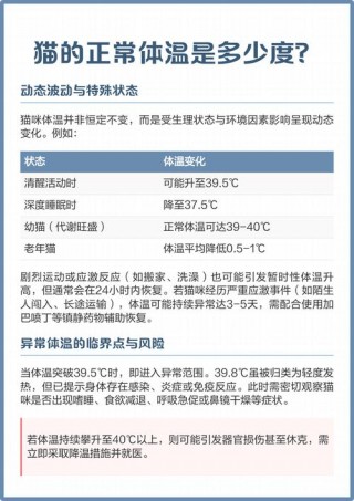 猫咪体温40.5是高烧吗？猫体温407度高烧吗（最新）