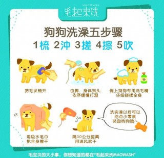 如何帮狗狗洗澡？如何帮狗狗洗澡教程（最新）