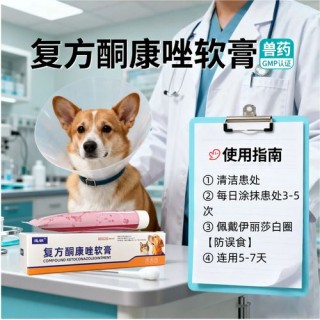 狗狗皮肤发红发痒用什么药？狗狗皮肤痒红肿怎么办（最新）