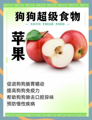 狗狗可以吃苹果吗，（狗狗可以吃苹果吗?吃苹果有哪些好处?）