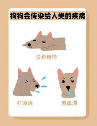 狗狗的皮肤病会传染给人吗，（狗狗的皮肤病会传染到人身上吗）