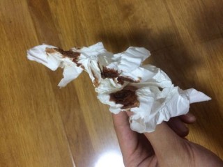 狗狗怀孕40天流粘液？狗狗怀孕40天流少许粘液（最新）