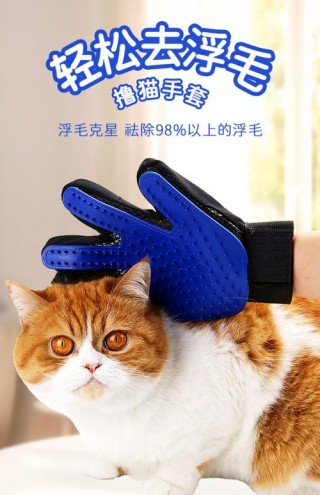 怎么减少猫咪掉毛？怎么减少猫咪掉毛的方法（最新）