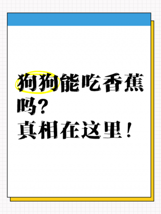 狗狗能吃香蕉吗，（两个月狗狗能吃香蕉吗）