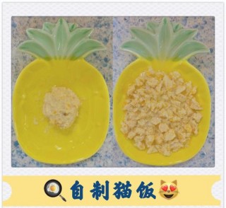 猫咪吃的鸡胸肉怎么做，鸡胸肉猫可以天天吃吗？