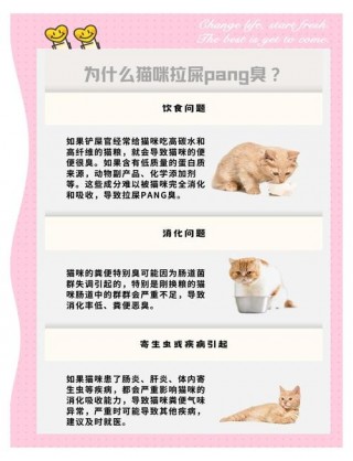 猫咪拉屎很臭怎么办，猫咪拉屎特别臭？