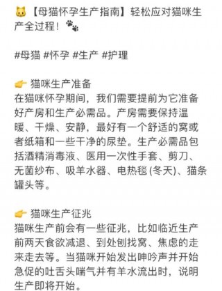 猫咪怀孕注意什么，（猫咪怀孕注意哪些事项）