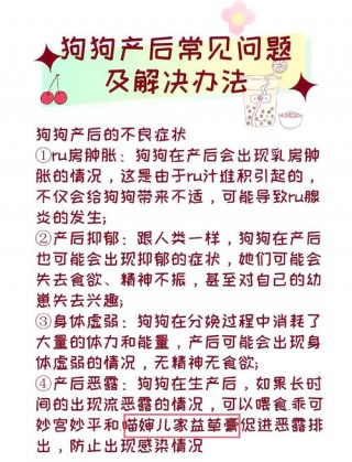 狗狗不吃食物怎么办，（狗狗不吃食该怎么办）