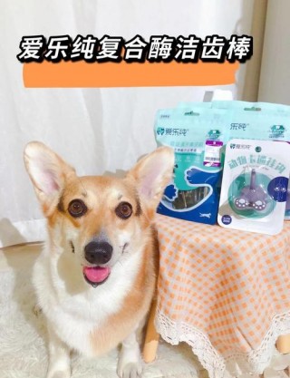 狗狗洁齿棒多久吃一次，（狗狗洁牙棒有用吗）