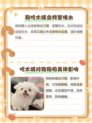 狗狗可以吃咸的东西吗，（狗狗能不能吃咸的东西）