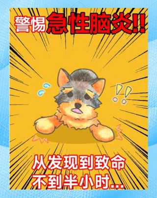 狗狗脑炎疫苗管用吗，狗狗脑炎疫苗一共几针？