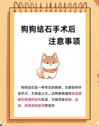 狗狗尿结石手术费用，（狗狗尿结石手术费用）