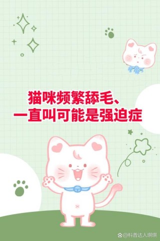 猫咪为啥一直叫，猫咪为什么叫不停？