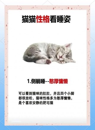 猫咪一直睡觉正常吗，（猫一直睡觉是什么情况）