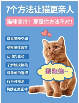怎样跟猫咪沟通，（如何和猫沟通）