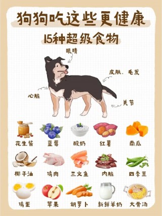 小狗狗喜欢吃什么，（小狗狗喜欢吃什么?）