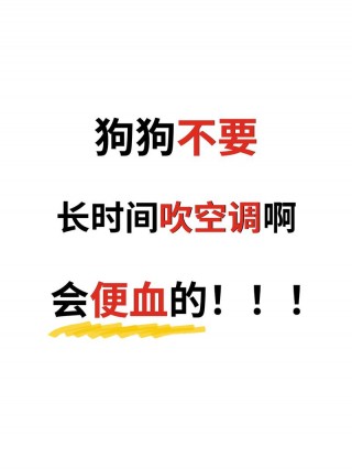 小狗狗可以吹空调吗，（小狗狗可以吹空调吗冬天）