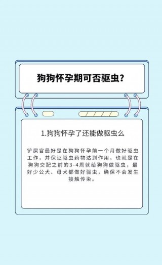 狗狗怀孕能吃驱虫药吗，狗狗怀孕能喂驱虫药吗？