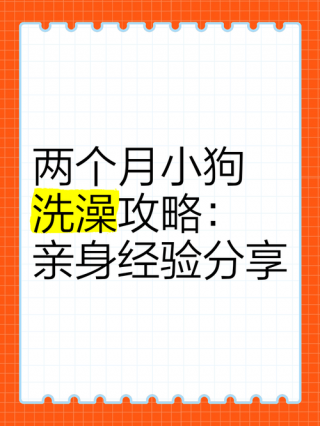 两个月狗狗可以洗澡吗，（2个月小狗洗澡了没事吧）