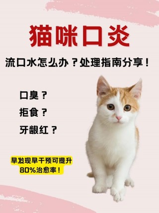 猫咪口臭流口水，猫咪口臭流口水黏黏的？