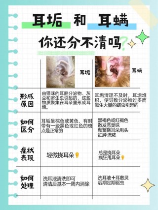 猫咪长耳螨怎么办？猫猫长耳螨怎么办（最新）