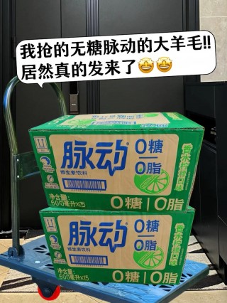 狗狗可以喝脉动吗，（狗狗能喝脉动不）