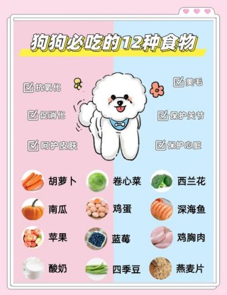 狗狗能吃四季豆吗？狗狗可以吃四季豆不（最新）