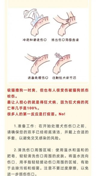 狗狗缝针多少钱？狗狗缝针后注意事项（最新）