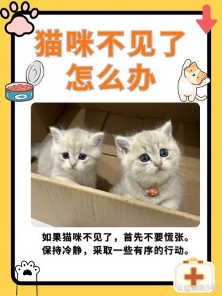 猫咪心情不好怎么办？猫 心情不好（最新）