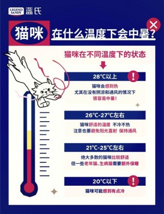 猫咪正常体温是多少？猫咪体温39度正常吗（最新）