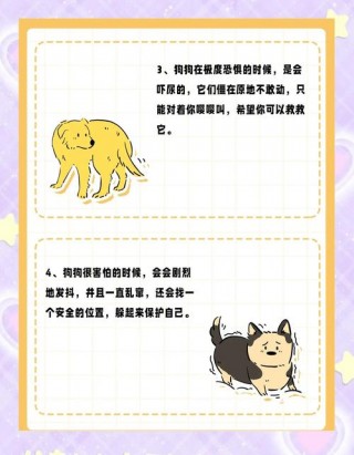 狗狗胆小的表现？狗狗胆小的行为（最新）