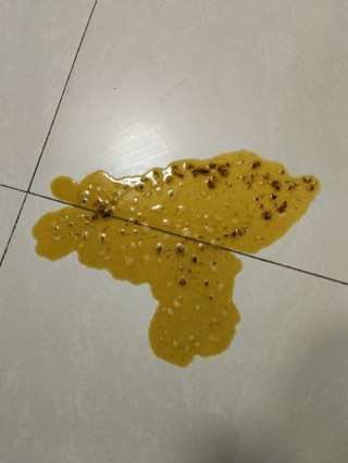 狗狗拉血水是怎么回事？狗狗拉血水还有救吗（最新）