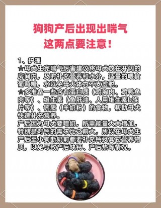 狗狗大口喘气怎么回事？狗狗大口喘气怎么回事,呼吸急促（最新）