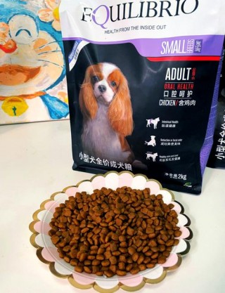 肠胃不好的狗狗吃什么狗粮，肠胃不好的狗怎么调理？