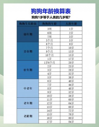 狗狗年龄怎么算，（狗狗几个月算一岁）