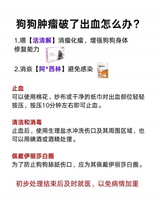 狗狗可以用酒精消毒吗，（狗狗可以用酒精体外消毒吗）