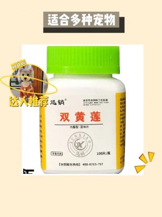 狗狗感冒流鼻涕吃什么药？小狗感冒流黄鼻涕是否快好了（最新）