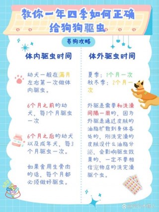狗狗驱虫多久一次，狗狗驱虫多久一次比较好？