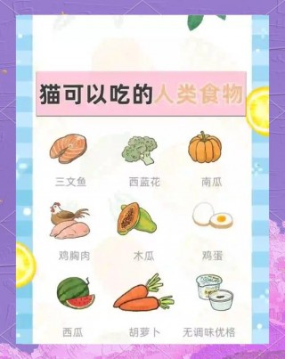 猫猫可以吃什么，（猫猫可以吃什么零食）