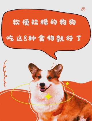 狗狗拉肚子还能喂食吗，（狗狗拉肚子还可以喂狗粮吗）