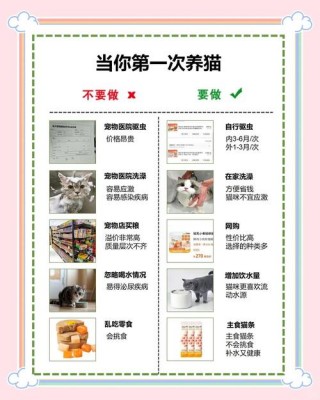 猫咪有多少品种，（猫咪一共有多少品种）