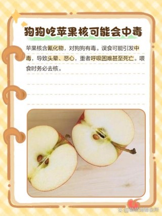 狗狗吃苹果有什么好处，（狗狗吃苹果有什么好处和功效）