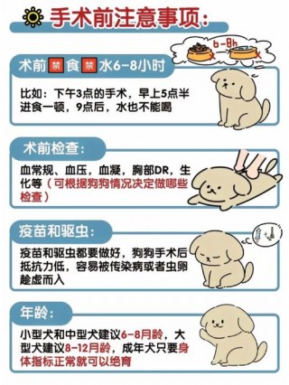 狗狗绝育注意事项，狗狗绝育手术必看的7条注意事项？