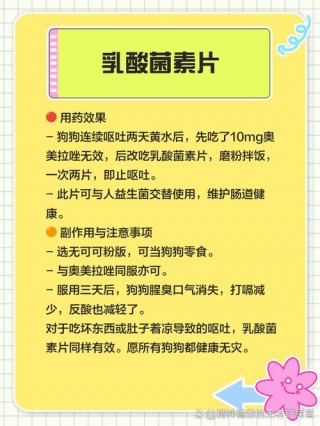 狗狗经常呕吐吃什么药，（狗狗经常呕吐吃什么药好）
