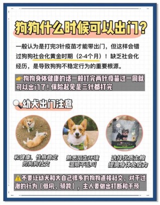 狗狗没打疫苗会怎么样？狗狗没打疫苗对人有什么坏处（最新）
